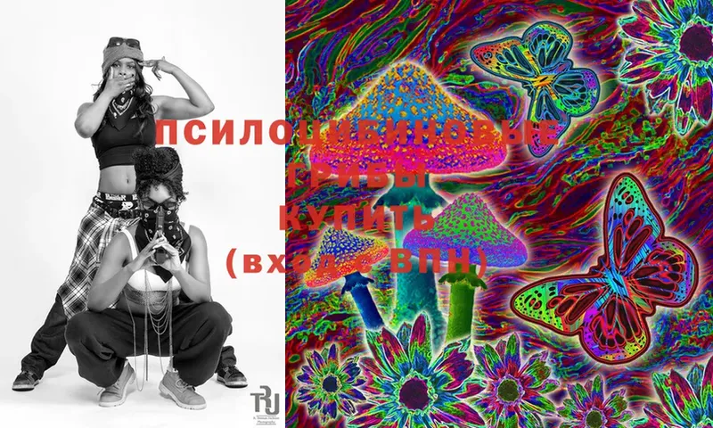 Галлюциногенные грибы Magic Shrooms  ссылка на мегу зеркало  Кудымкар 